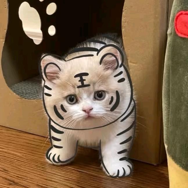 从简