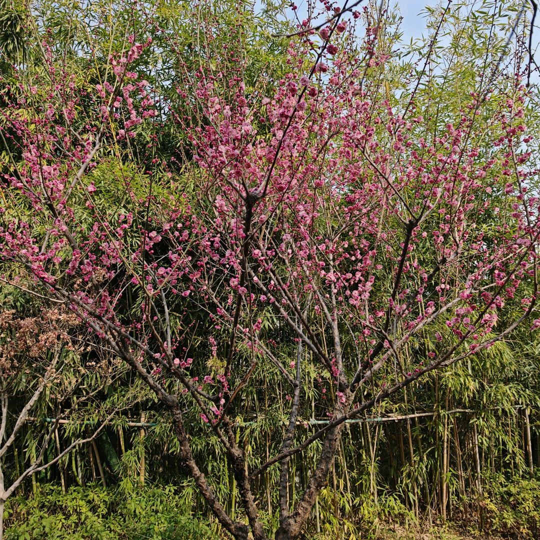 小陈百货分享