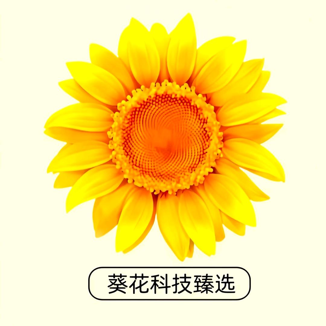 葵花叶黄素护理🌻