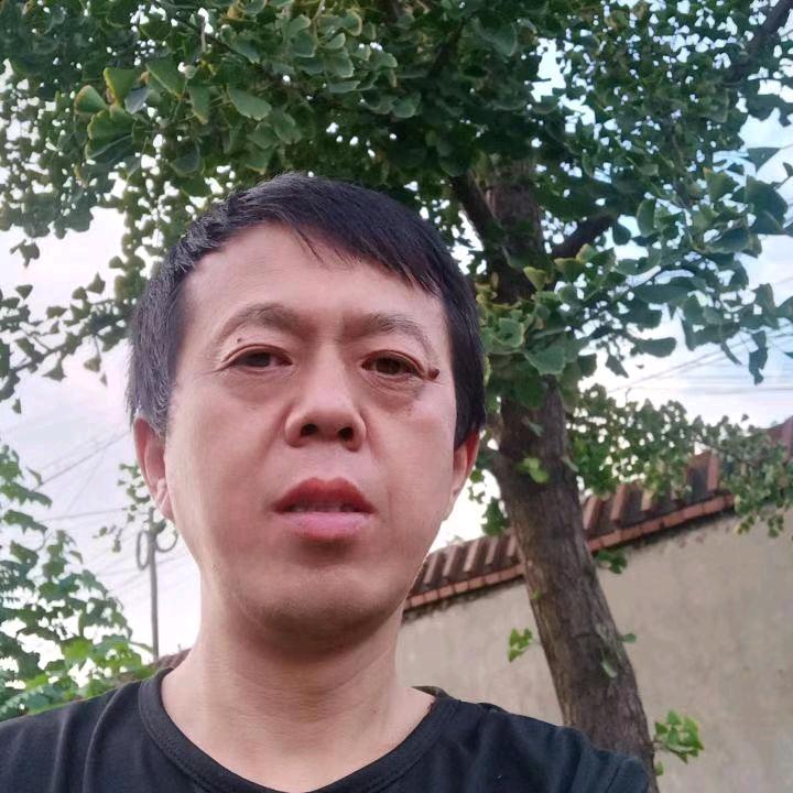 写小说的东南西北中