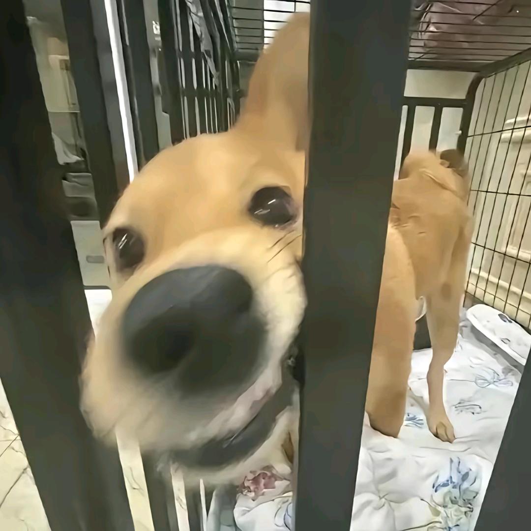 念想‥