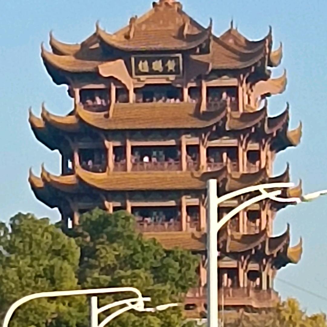 柠檬的樱桃