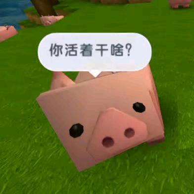 织雾竹z头像