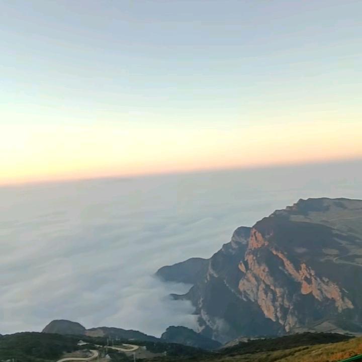 杉木林