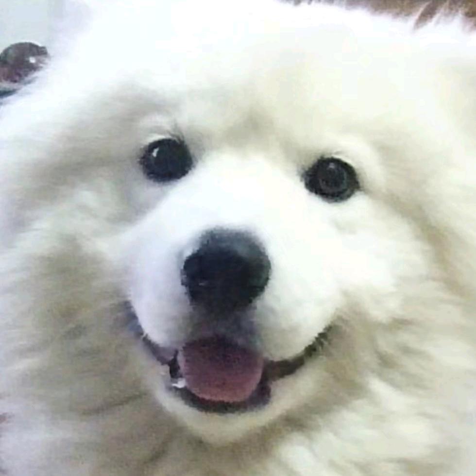 华光联合