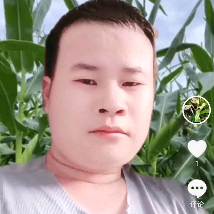 单身情歌
