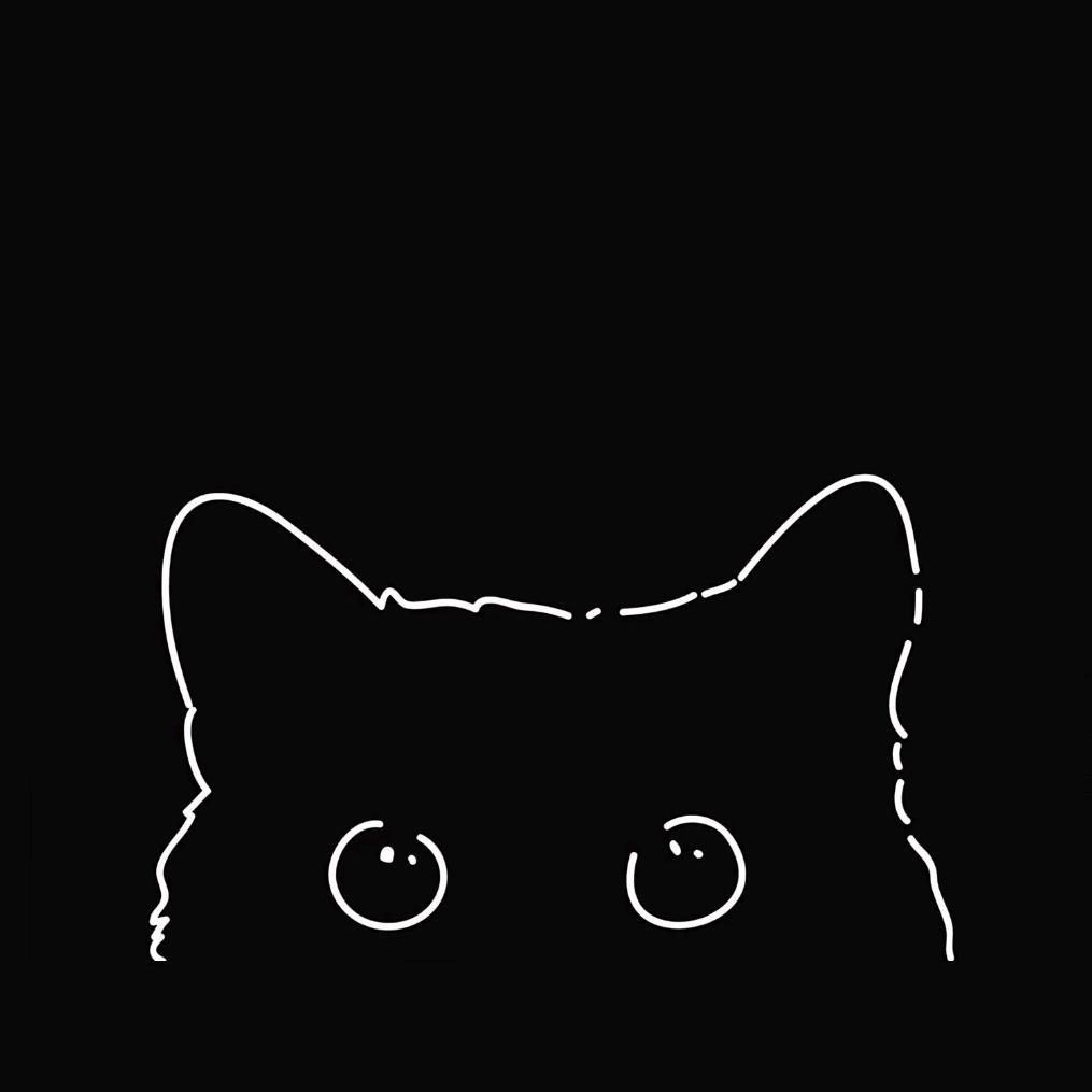 Ms  cat
