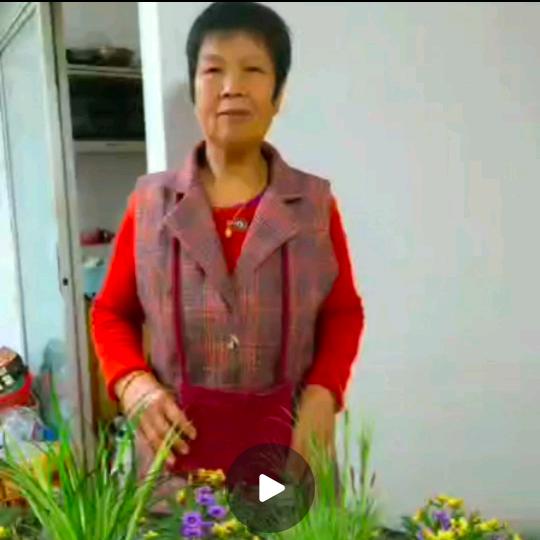 冫刘培填