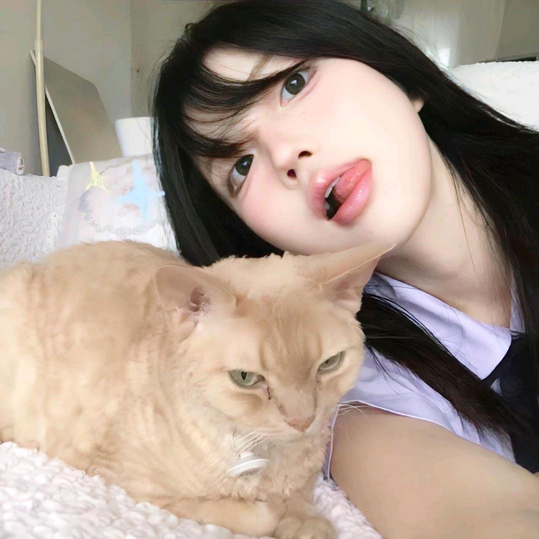 会继续