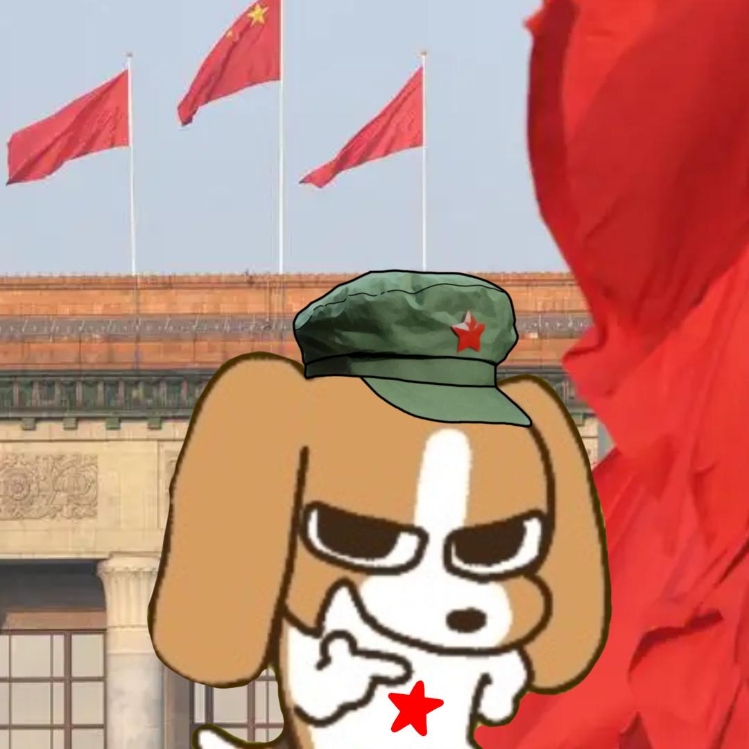 瑞光·RDR🇨🇳