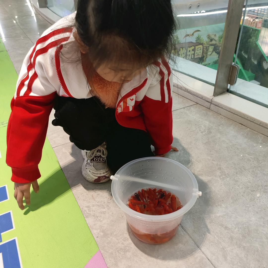 小绵羊🐑