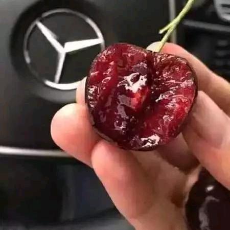金裳未来3