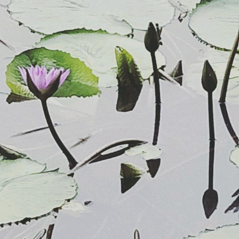 (ಡωಡ)(ಡωಡ)