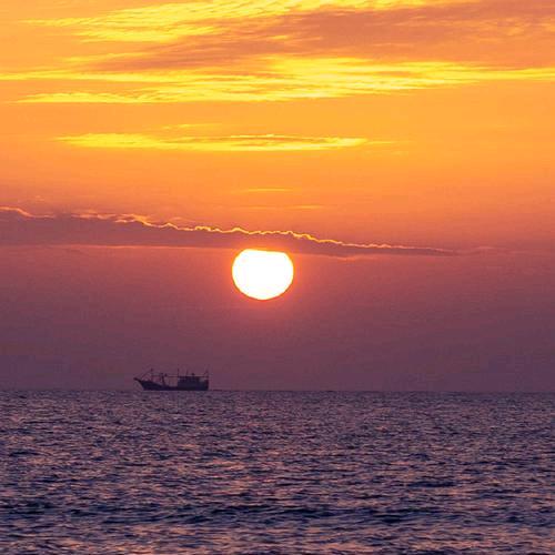 齐城(周隆路店)官方号