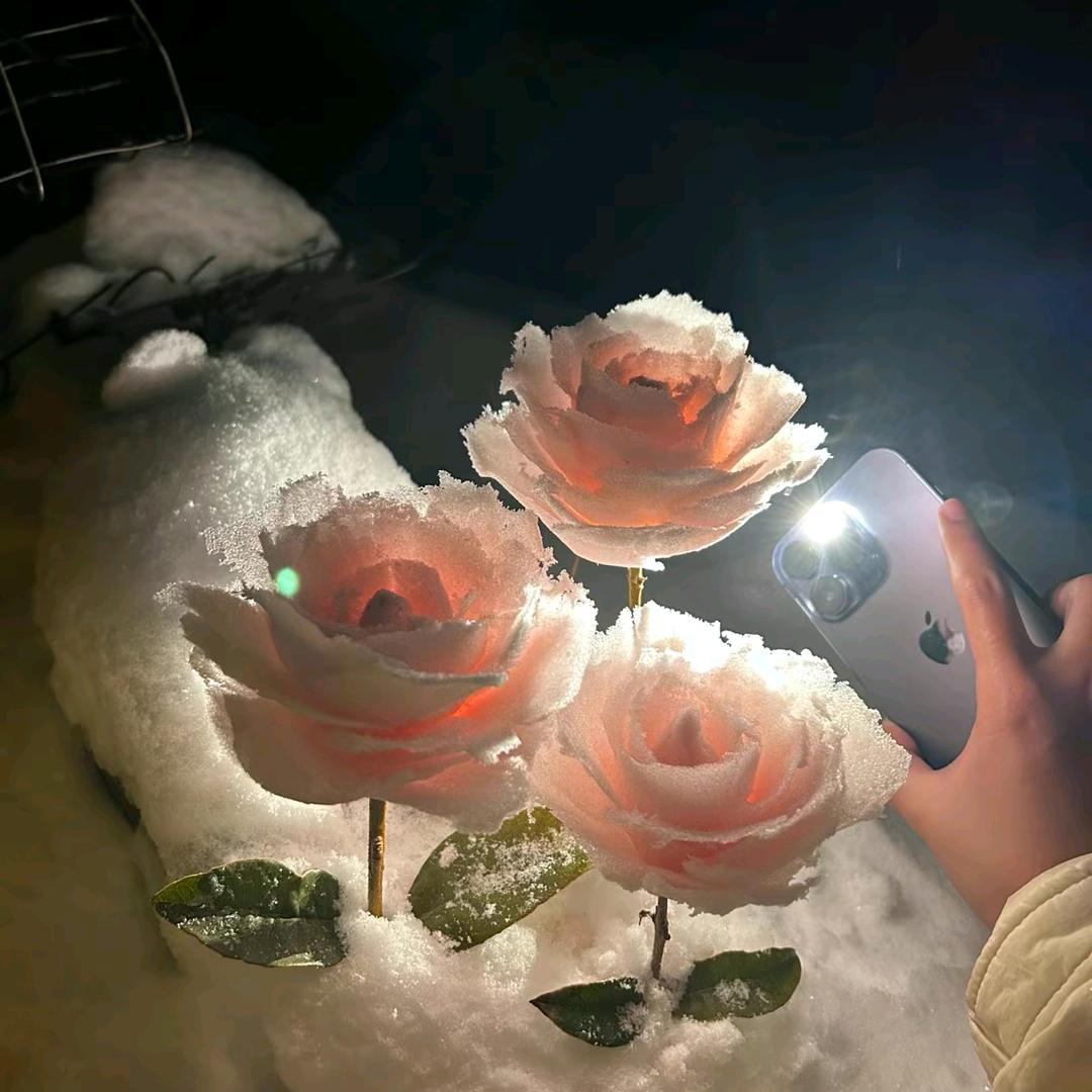 沉默💞是金💞᪲