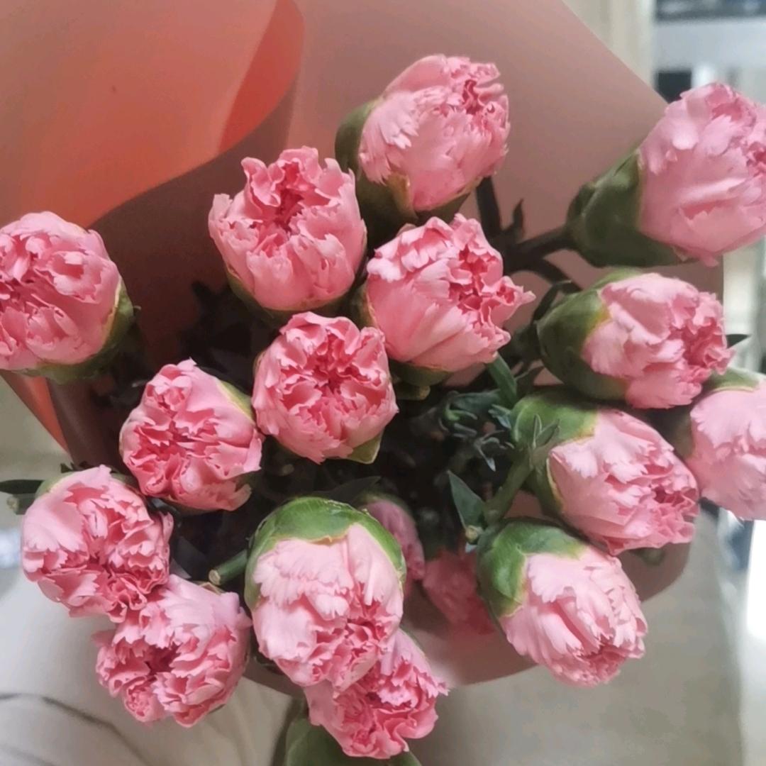 beautiful