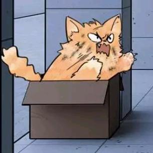 鲨猫也是猫