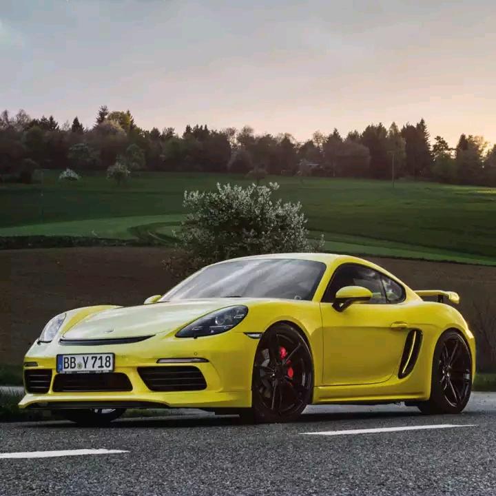 常年招西瓜打芽工人