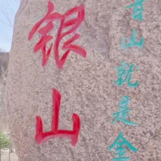 柿柿国产