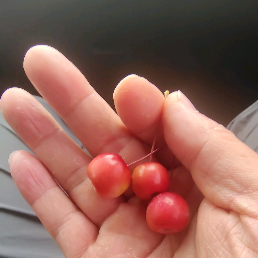 钣金加工
