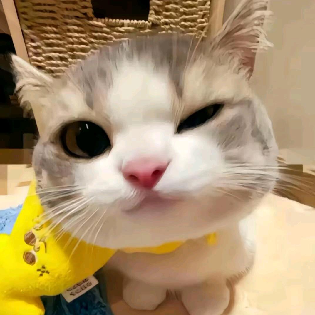 失败的boy