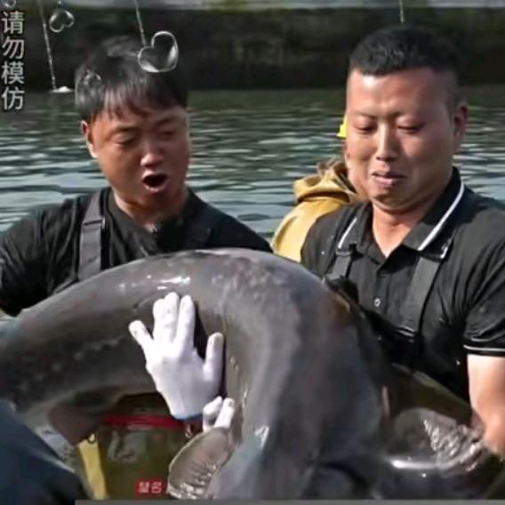 大表哥户外（包🐟塘）