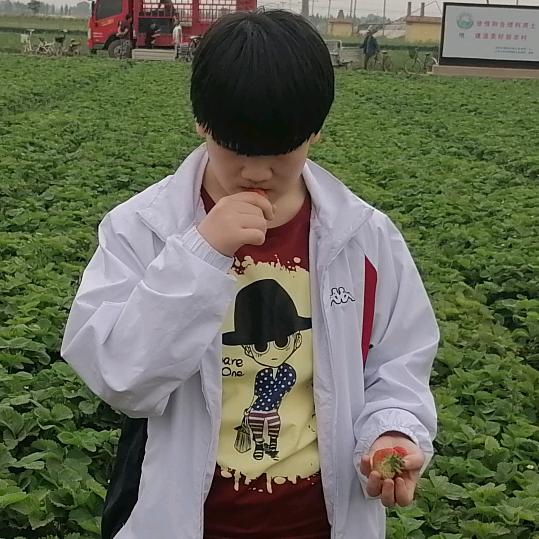 小草莓🍓