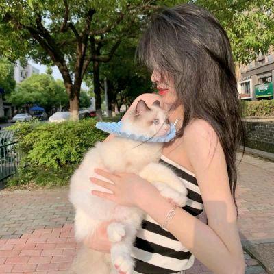 方记砂锅土菜(羊山店)官方号