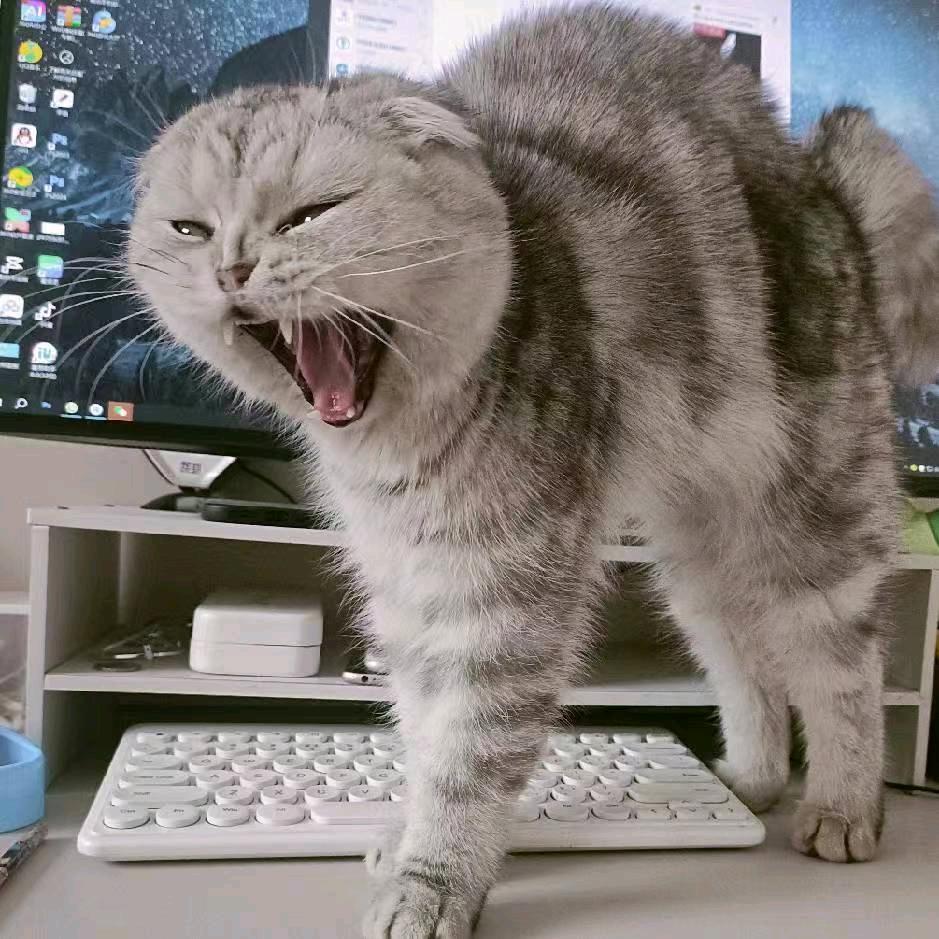三十而已