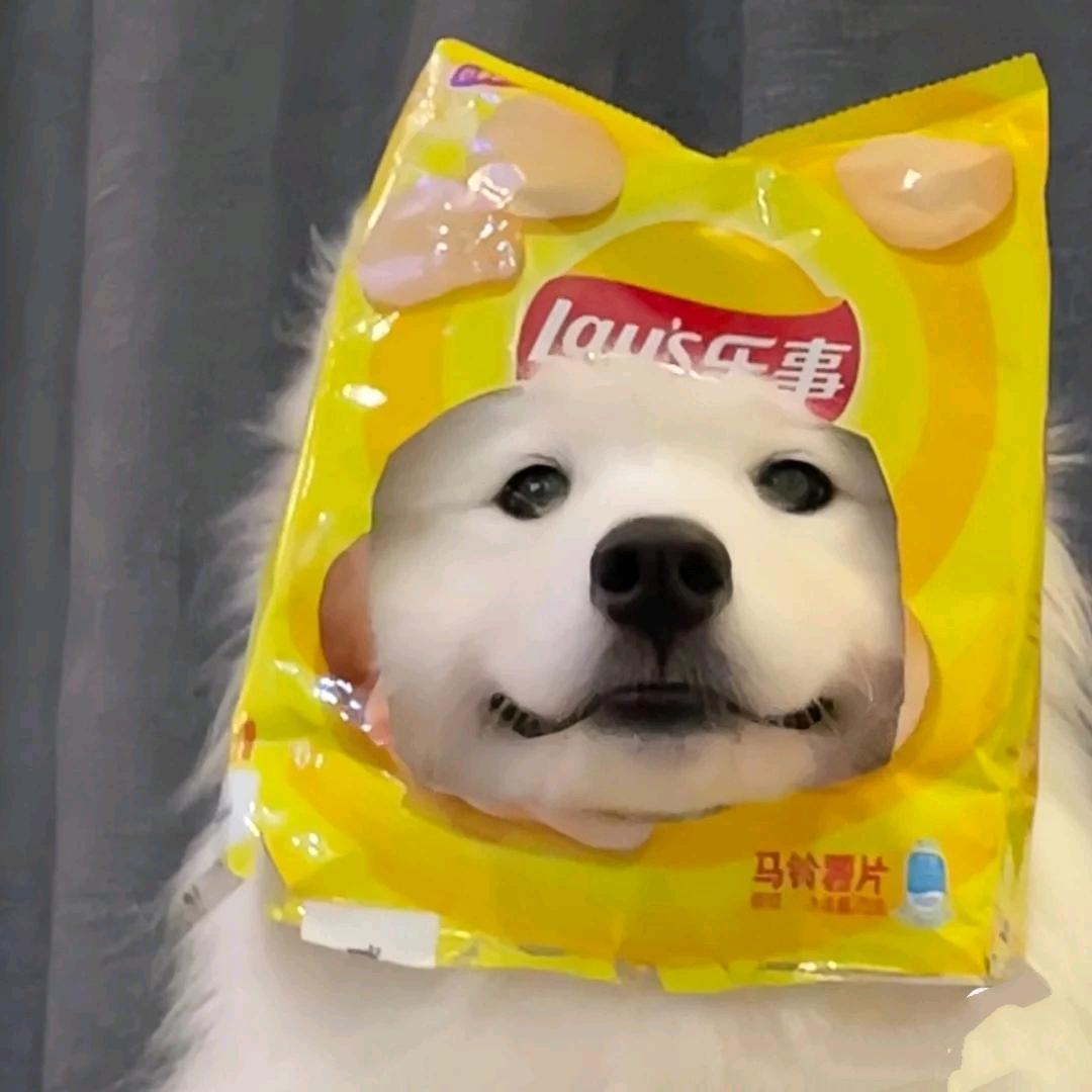 不爱吃鱼