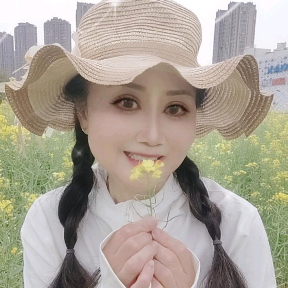 龙龙