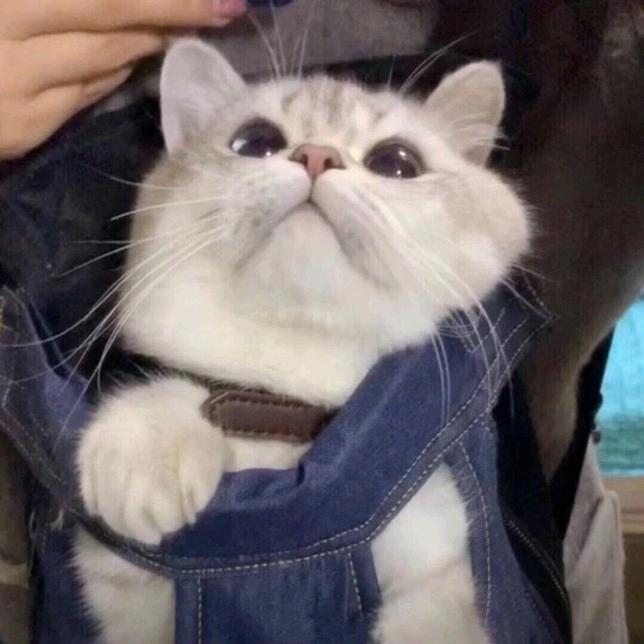芭芭啦啦