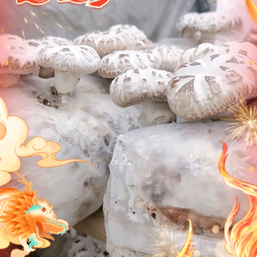 张哥