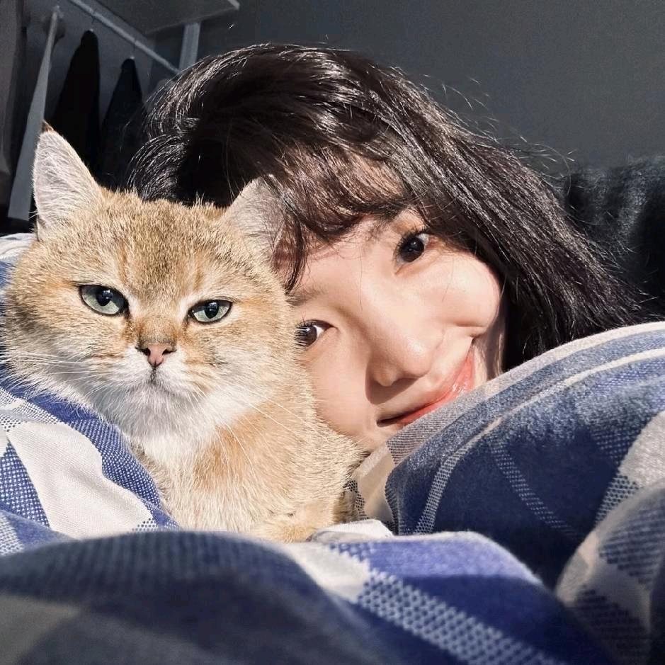 ꒦ິ^꒦ິ