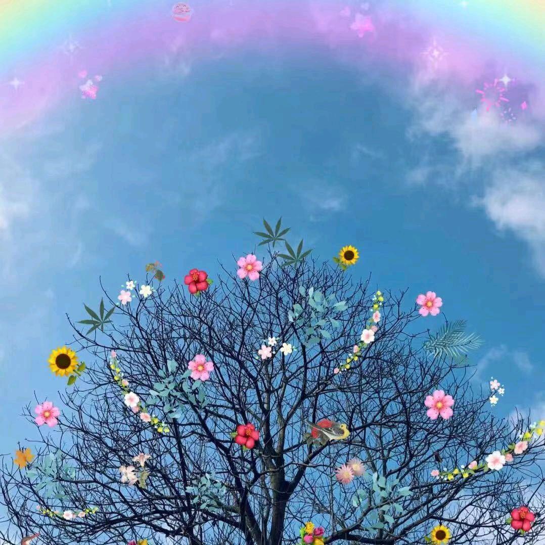 捉妖精的葫芦～