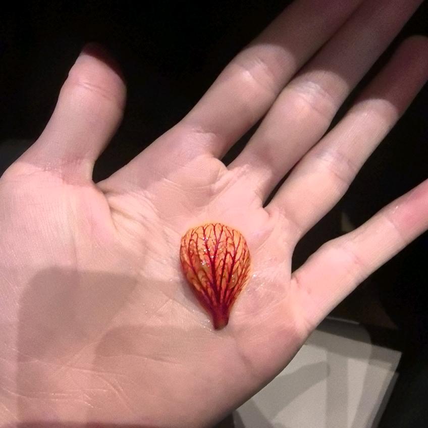 酸辣白菜-
