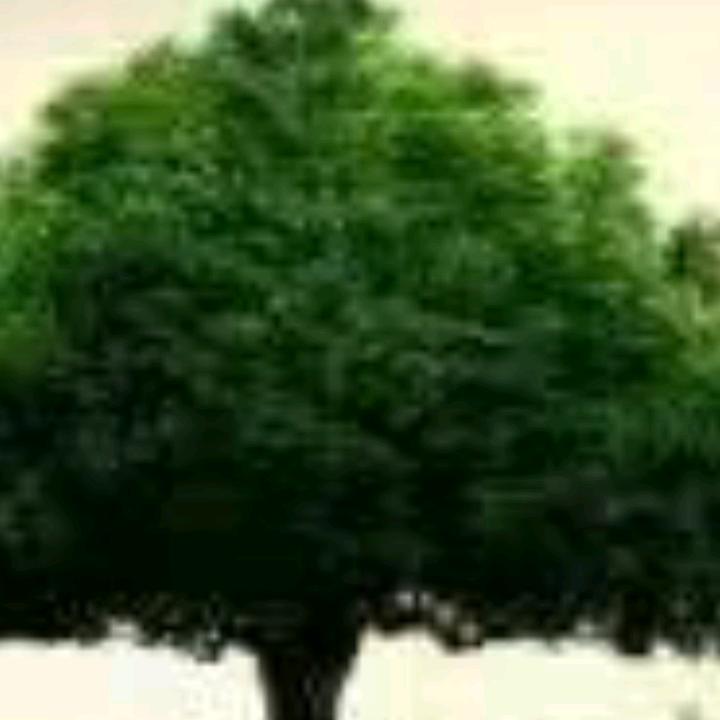 朵朵流动大屏出租+妈妈团衣服+鼓舞