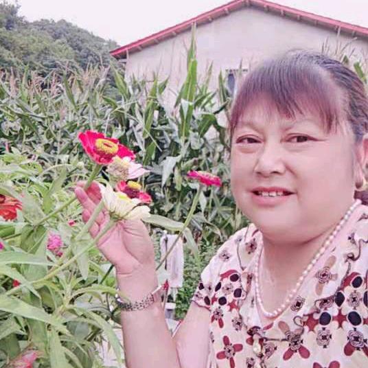 苗美美