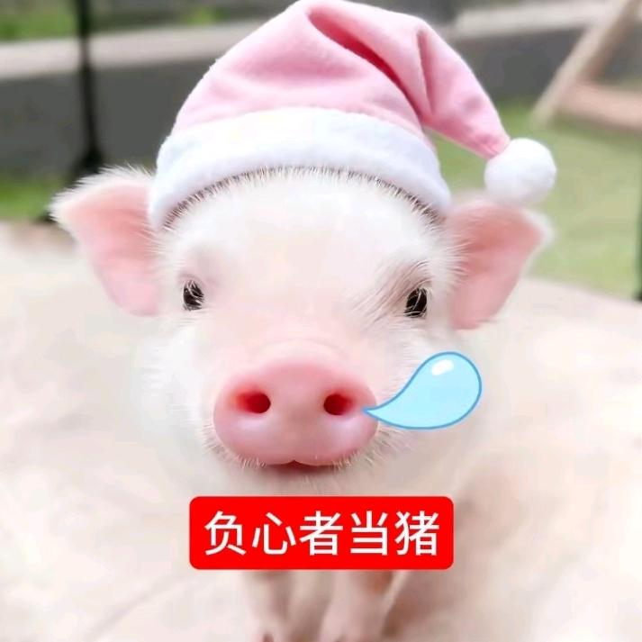 喵