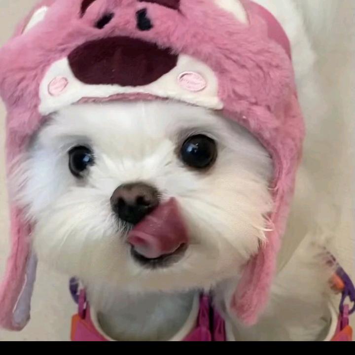 秋慧子