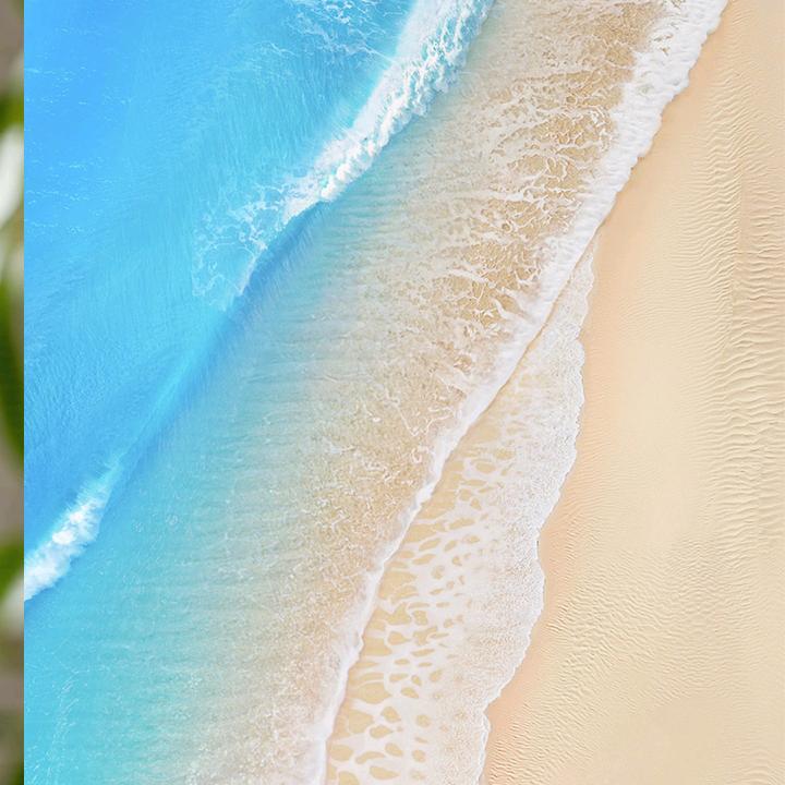 美满的家庭