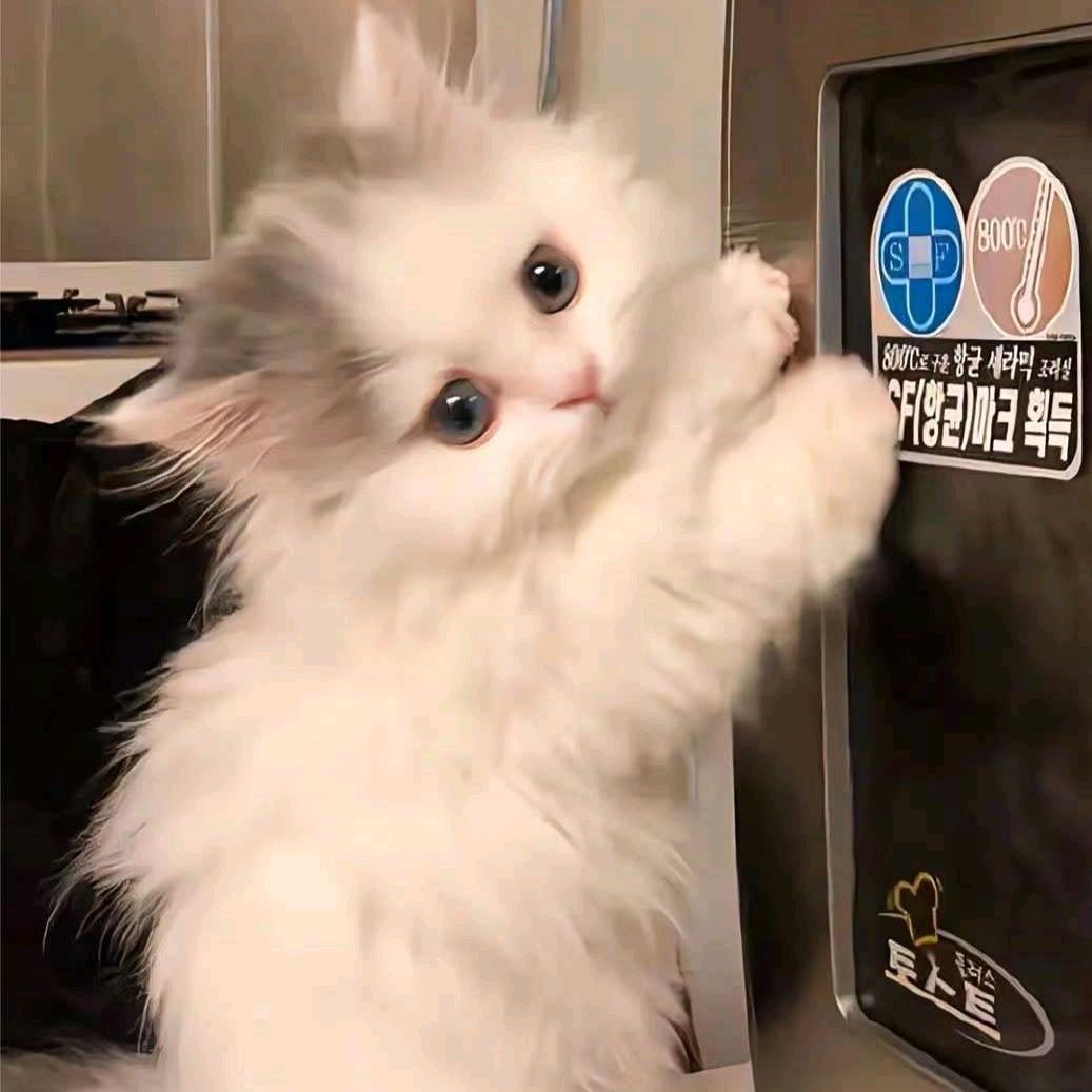 别枝惊鹊
