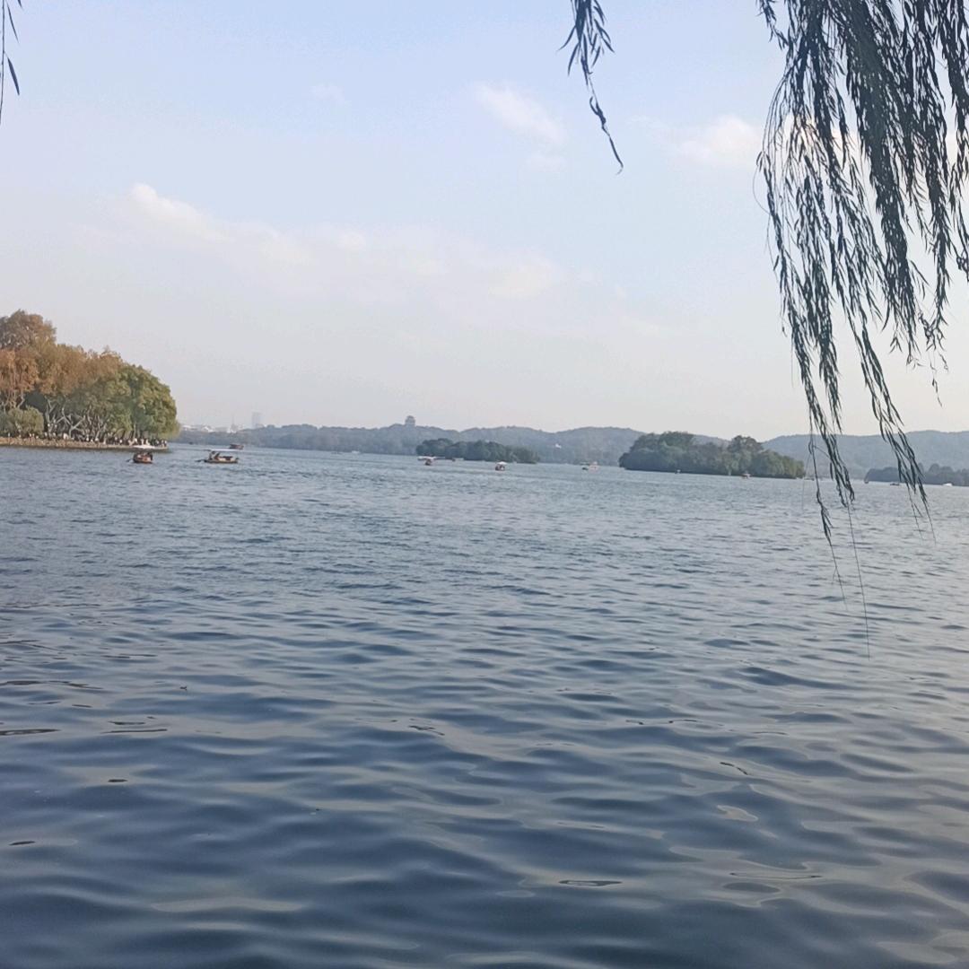 云龙湖头像