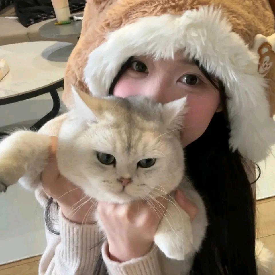 ʰᵉˡˡᵒ𝙠𝙞𝙩𝙩𝙮.
