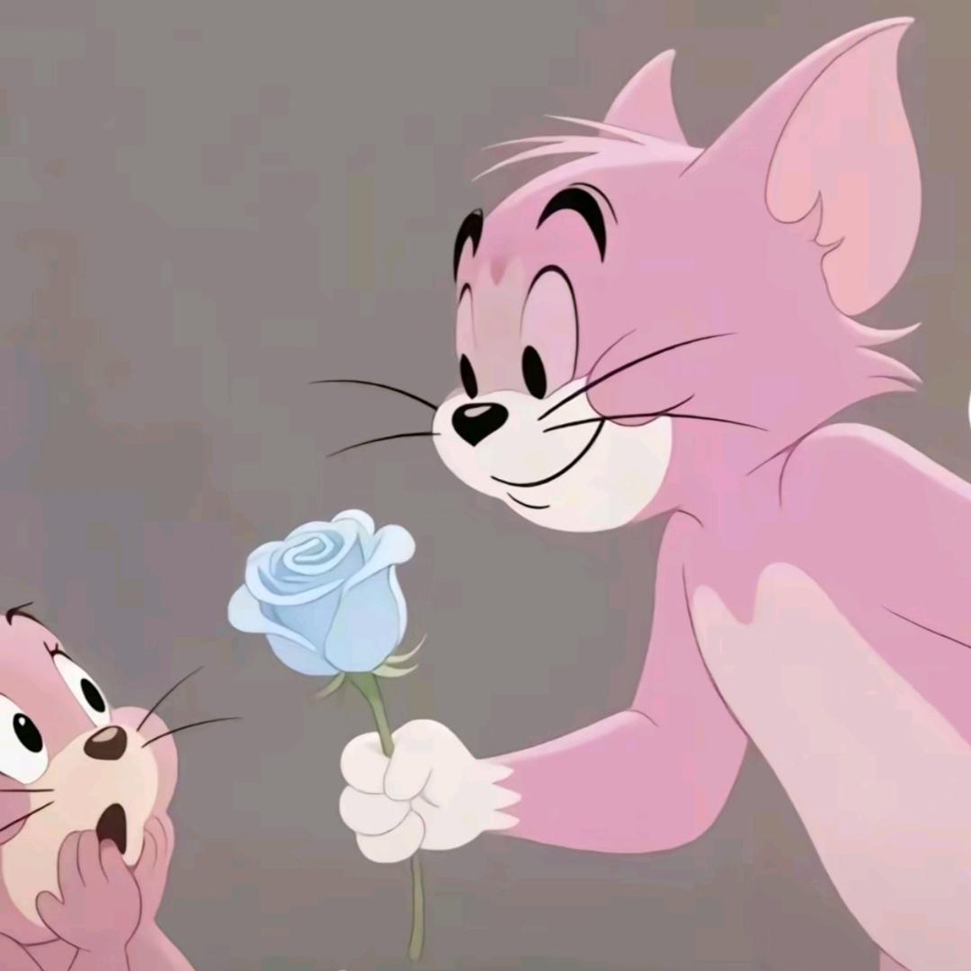 ˗ˋˏ♡ˎˊ˗ 燕子♡ᵕ̈