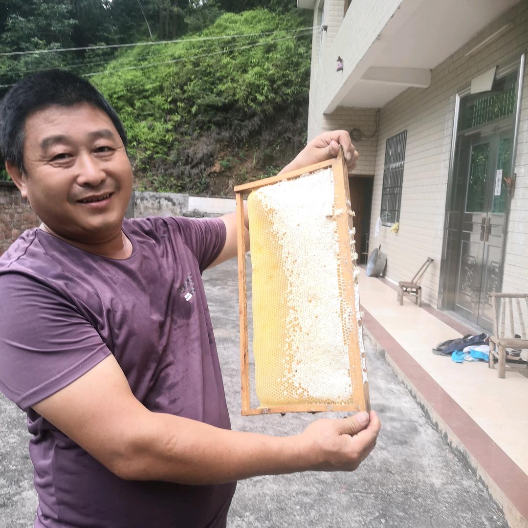 欧阳能环
