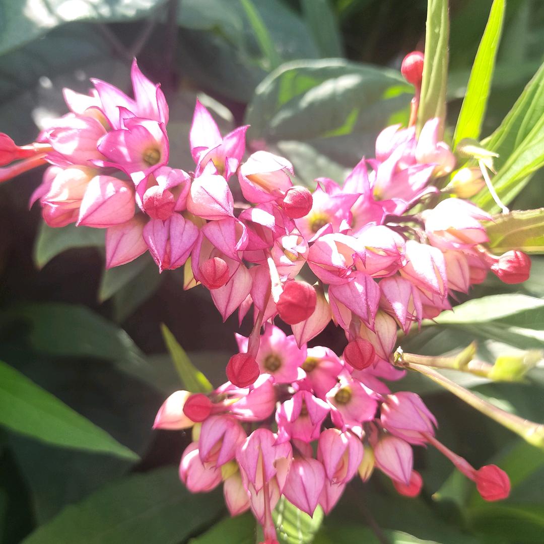 Lee韦（陪伴日常）