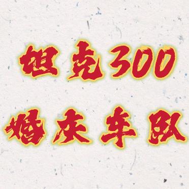 定州坦克300婚庆车队
