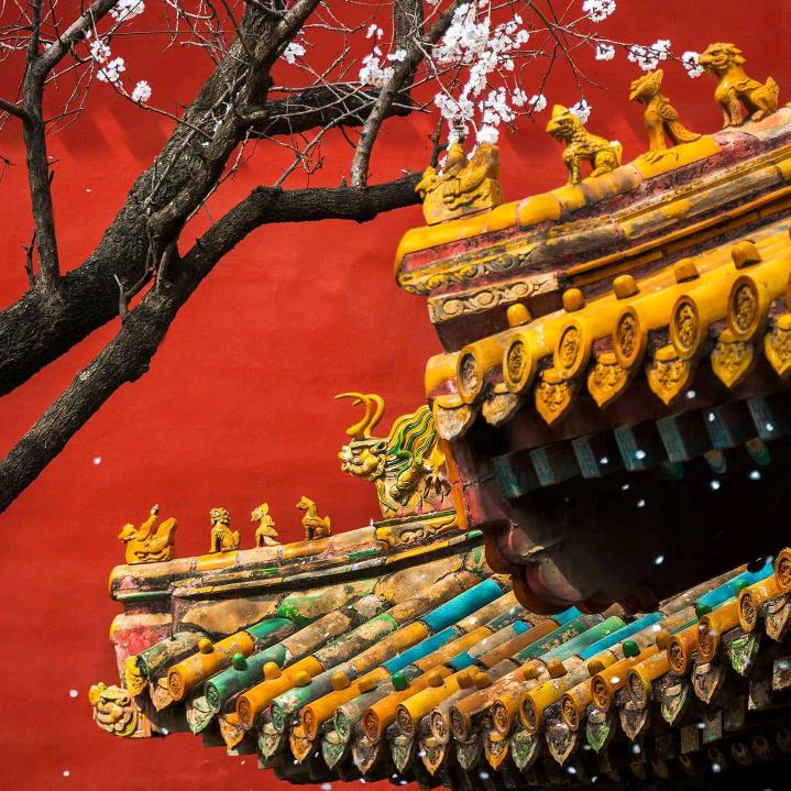 ☞历史幻灯片