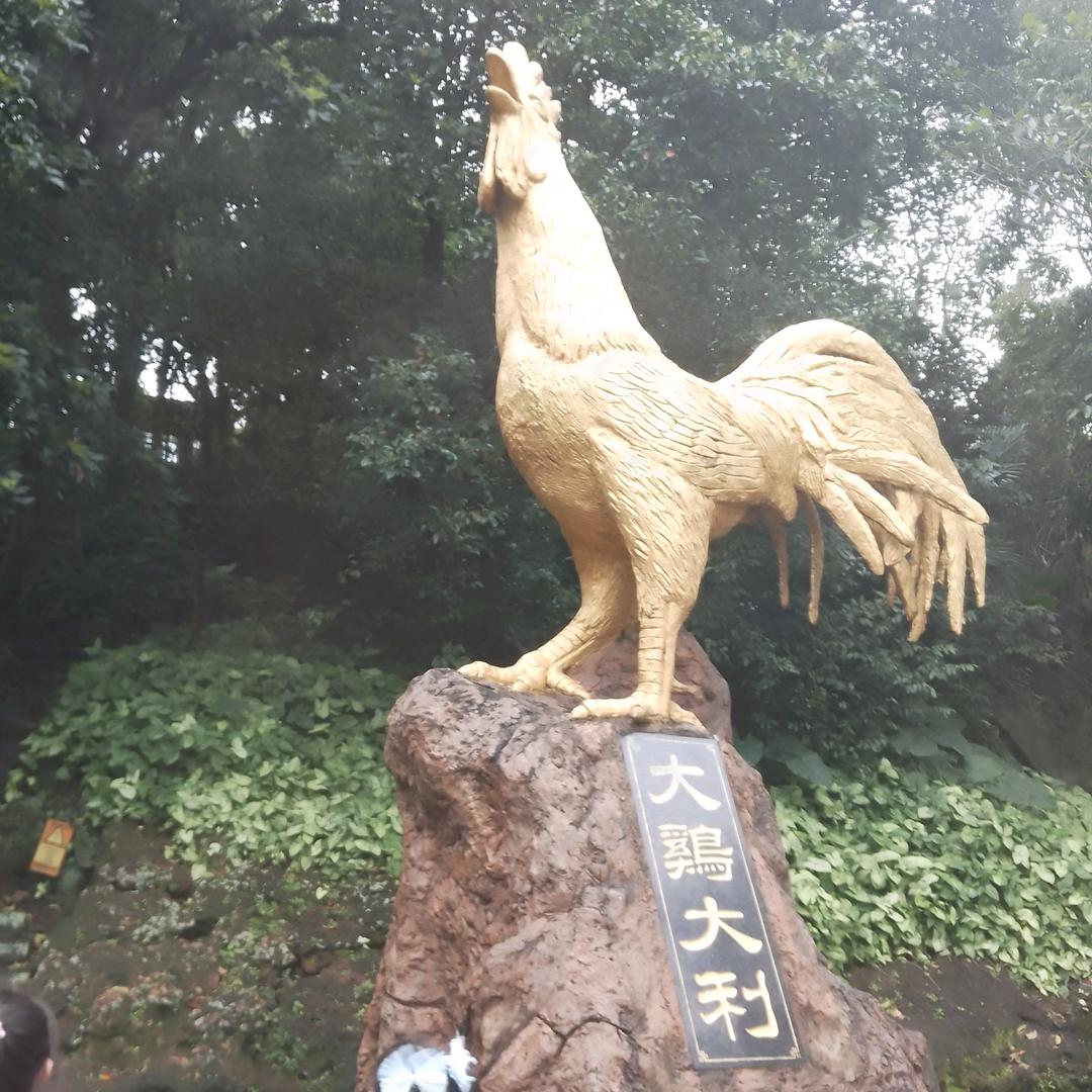 xiao冠